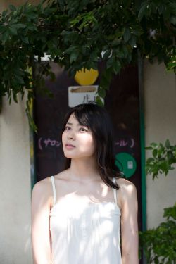 《金花瓶楷梅花2》